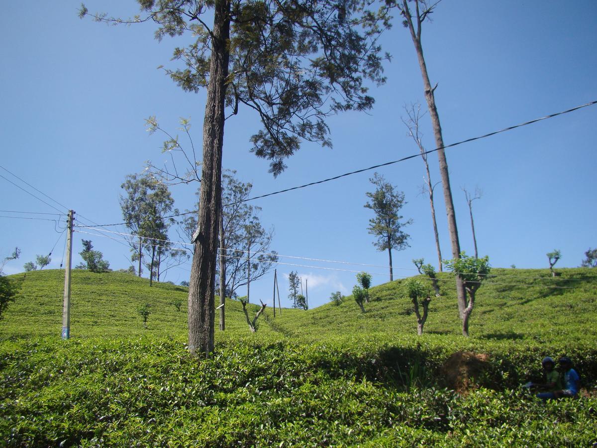 דירות Ella Tea Land View מראה חיצוני תמונה